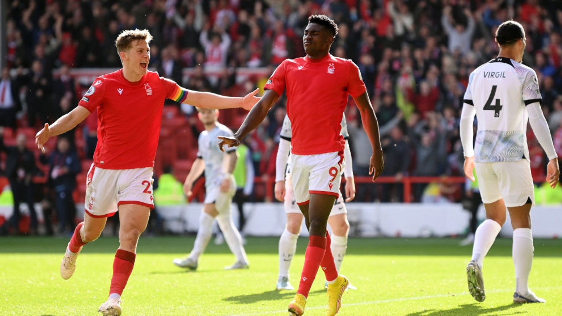 麦的大个子 麦的大个子